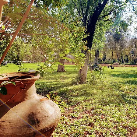 Ξενοδοχείο με διαμερίσματα Doga 3*